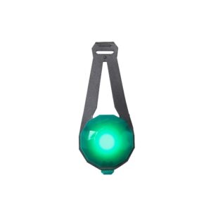 Basic Jewel LED-Hundlampa USB (Grön)