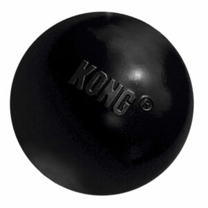 KONG Extreme Ball (Large)