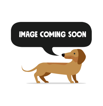Royal Canin X-Small Adult 8+ hundmat 3kg