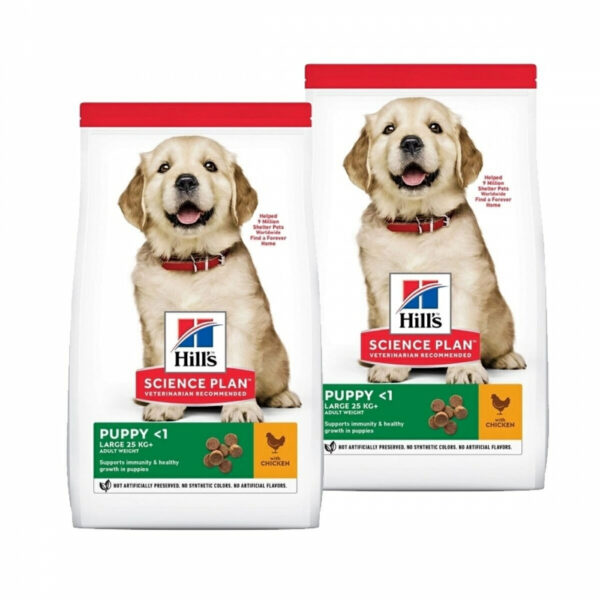 Hill's Science Plan Puppy Large Breed Chicken 2x14,5 kg
