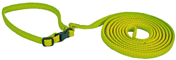 Alac Halsband+Koppel Grön S 170cm