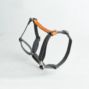 Shiro & Malou Sele Canvas/Läder Grå
